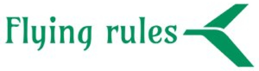 flyingrules321