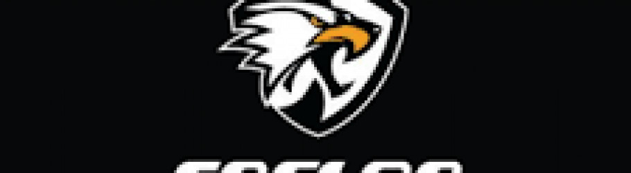 eaglonsports
