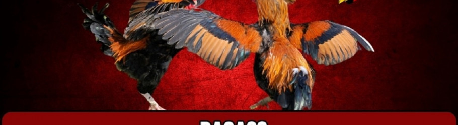 Daga88io