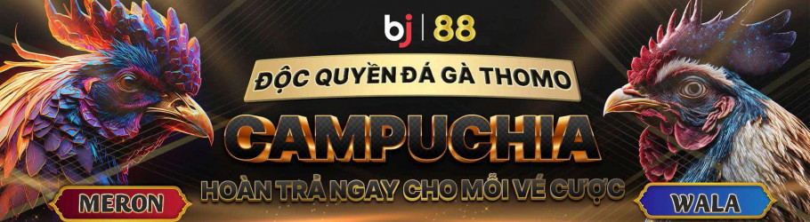 bj8880comvn