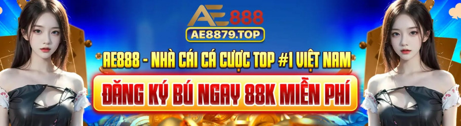 ae8879top