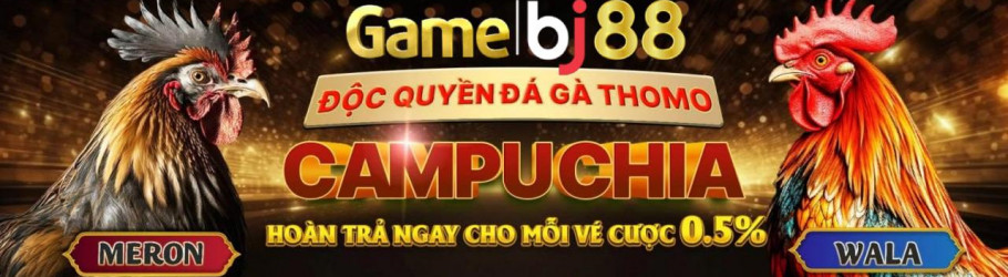 BJ38chat