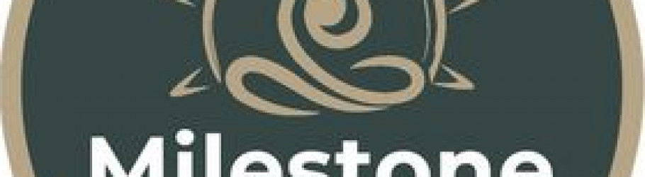 milestonephysio