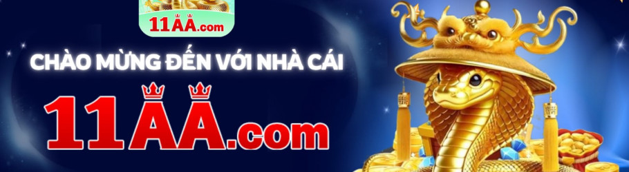 11aavipcom