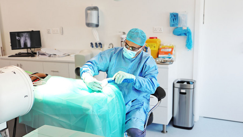 Abu Dhabi's Premier Veterinary Clinic | Reliable Pet Care | Animal Hospital