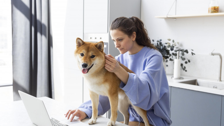 Custom Veterinary Telehealth Platforms for Enhanced Patient Care