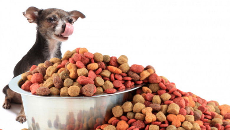 What Are the Latest Trends Shaping the U.S. Pet Food Ingredients Market in 2025?