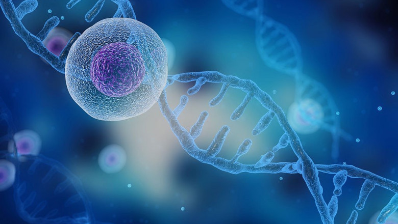 Precision Medicine Market: Trends, Growth Drivers, and Emerging Opportunities