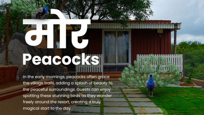 Escape to Tranquility - Day Outing Resort in Ghatkesar for a Perfect Getaway - Village Trails