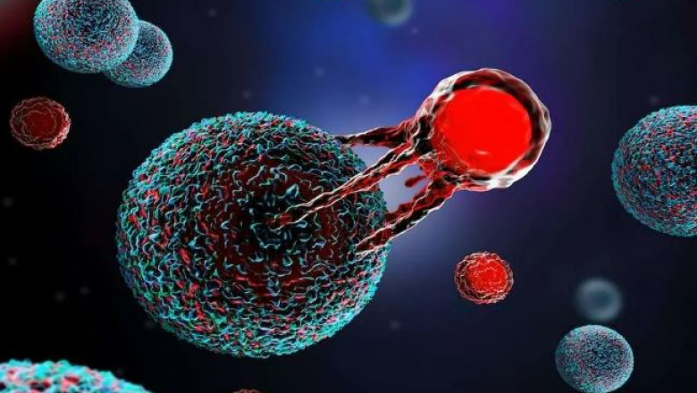 CAR T-Cell Therapy Market: Unlocking the Future of Immunotherapy