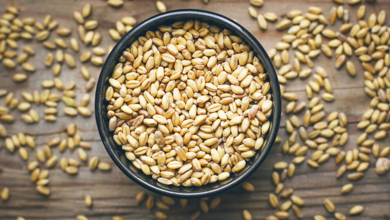 Exploring the Growth and Opportunities in the France Wheat Protein Market
