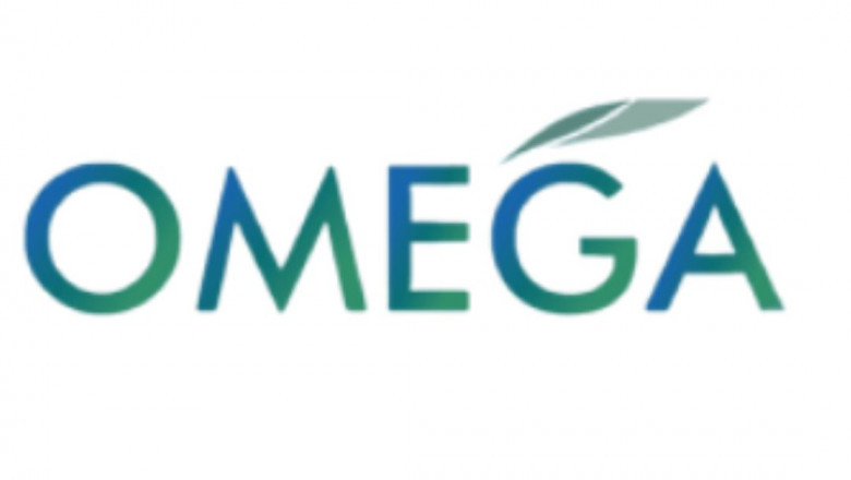 Best Digital Marketing Courses in Nagpur – Omega Institute