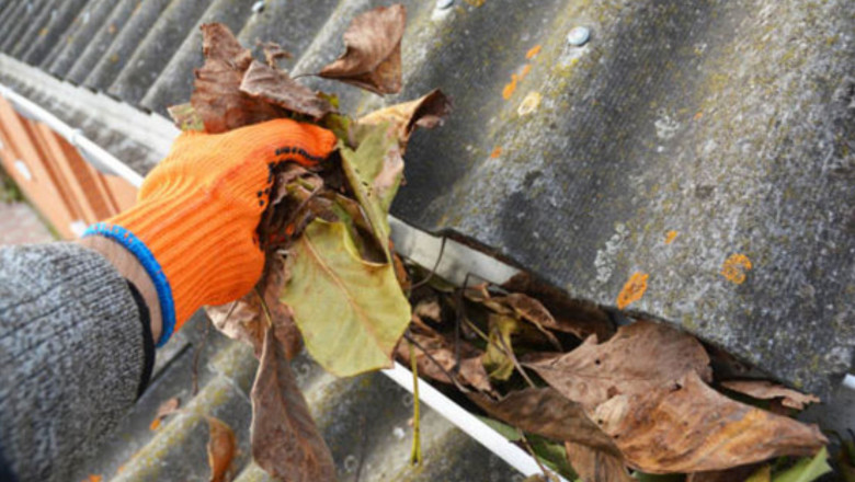 Roof Gutter Cleaning and Home Value: What Studies Reveal About Long-Term Damage