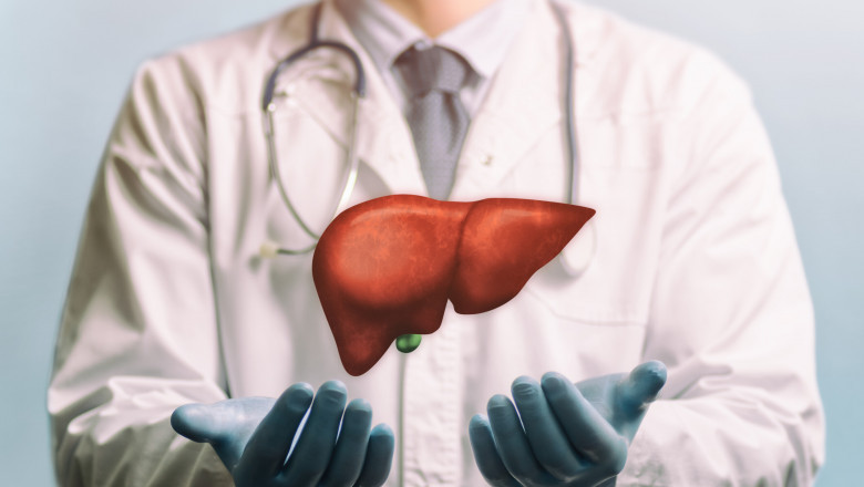 Autoimmune Hepatitis Therapeutics Market will grow at highest pace owing to rising prevalence of autoimmune diseases