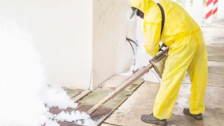 How Mosquitoes Damage Your Home