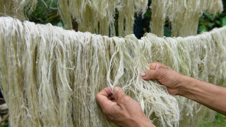 Plant-Based Textile Fibres Market Opportunities: A Comprehensive Guide to Eco-Friendly Fibre Innovations in Fashion