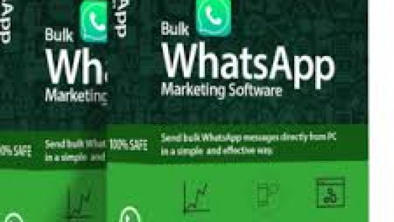 WA Contact Number Checker