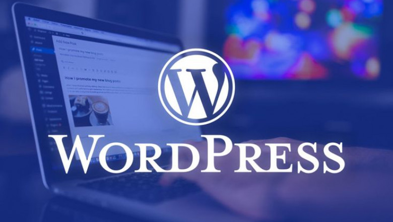 web hosting companies in india