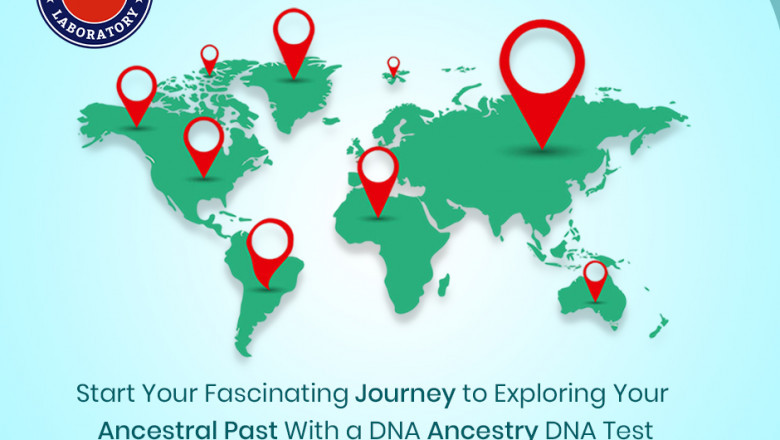 Discover Your Roots with an Ancestry DNA Test Kit