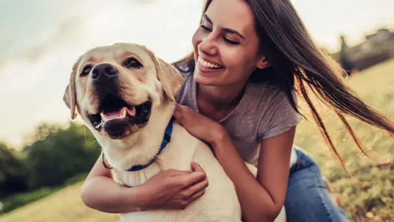 Secrets to a Healthy, Shiny Coat for Your Dog