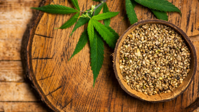 Cannabis Seeds Near Me: A Guide to Finding the Best Local and Online Suppliers
