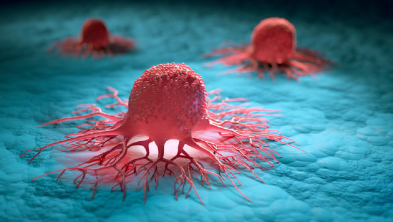 Global Kras Inhibitors Market will grow at highest pace owing to rising incidence of cancer