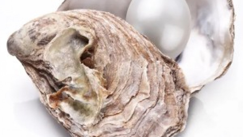 The Beauty of Mother of Pearl: A Closer Look at Pearlizing Agents