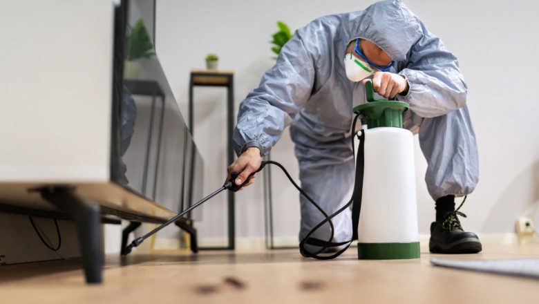 Effective Pest Control: Strategies for a Pest-Free Environment