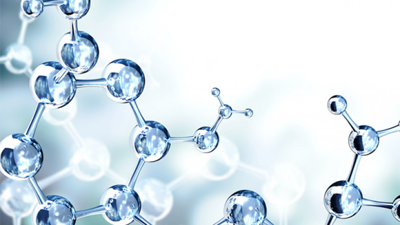 Exploring PT. Ecogreen Oleochemicals' Strategy and Emerging Innovations in the Fatty Amines Market