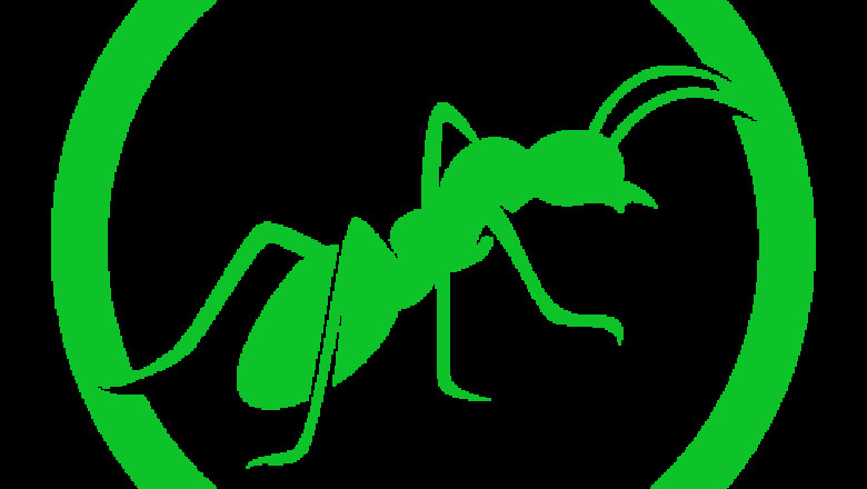 Termite Control Melbourne - Zap It Pest Control