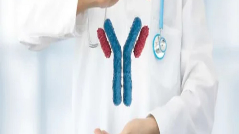 Cancer Monoclonal Antibodies: Targeting Tumors Precisely for Improved Treatment Outcomes