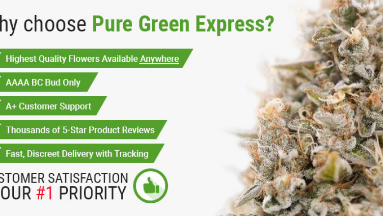 CBD Gummies, Chocolates, and More: Exploring the World of CBD Edibles