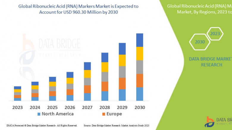 Ribonucleic Acid (RNA) Markers Market: Insights, Key Players, and Growth Analysis 2023 –2030