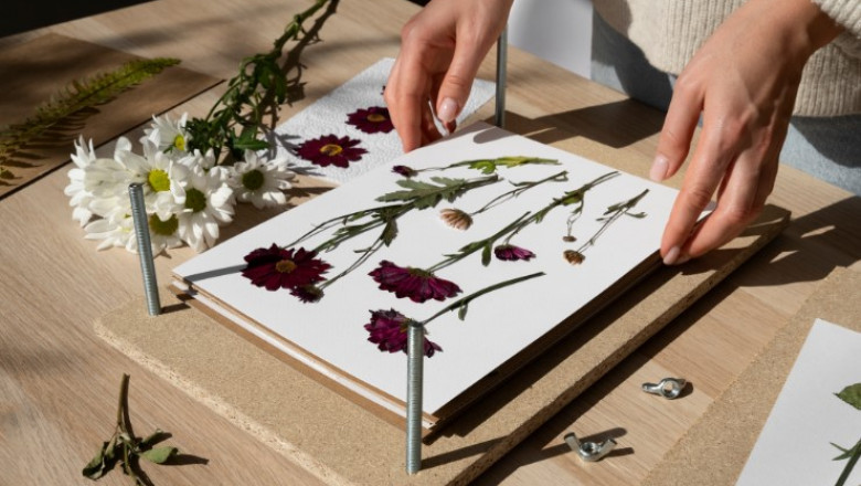Floral Preservation, Custom Pressed Flower Art Frames Sydney - Anthos Pressed Floral