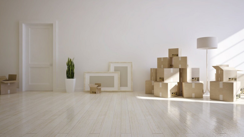 Revitalize Your Floors: The Ultimate Guide to Carpet Cleaning