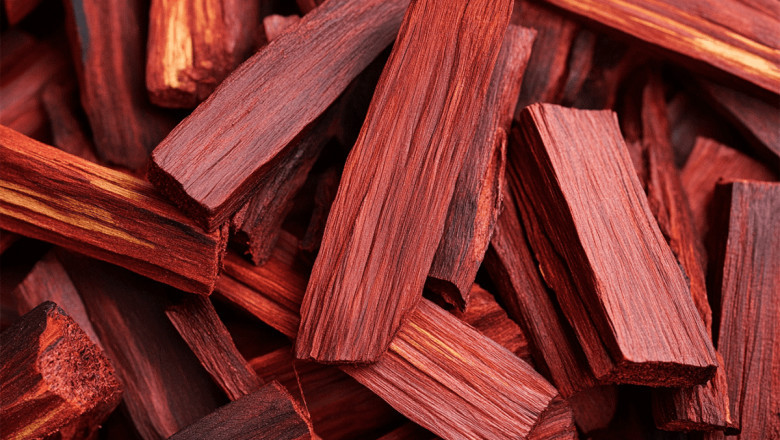 The Mighty Red Sandalwood: From Root to Leaf.