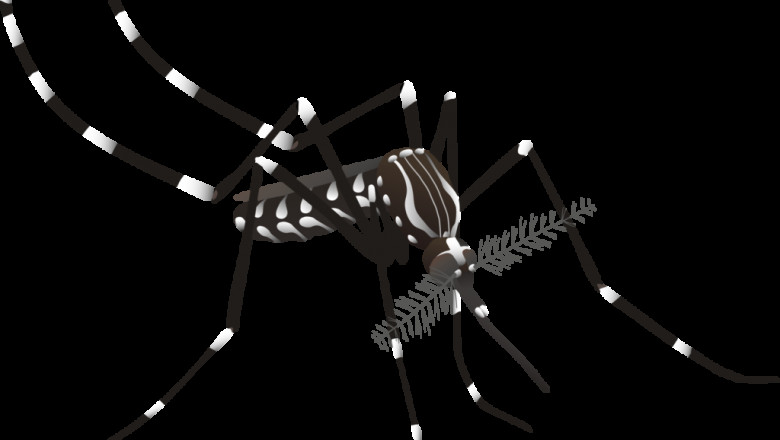 Mosquito Pest Control Service - People’s Pest