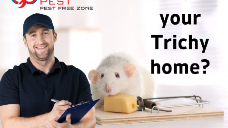 Rodent Pest Control Service in Trichy