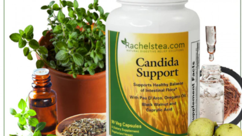 The Best Candida Pills and Candida Support for Gut Health