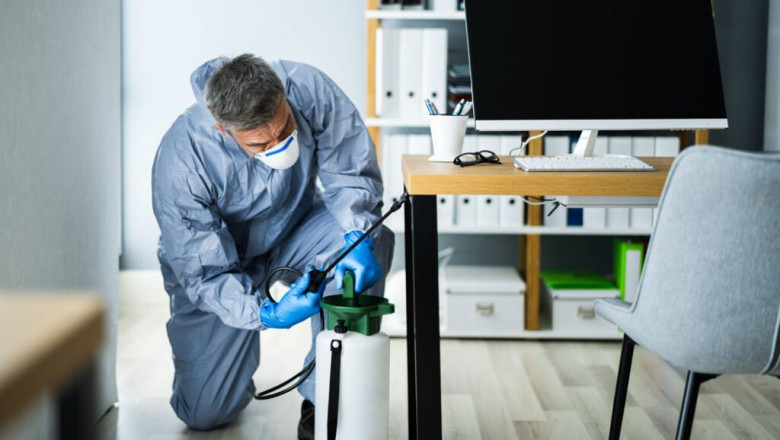 Reliable Termite Control in Melbourne