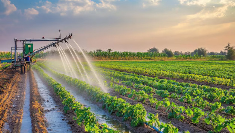 The Benefits of Drip Irrigation Melbourne for Water-Efficient Gardening