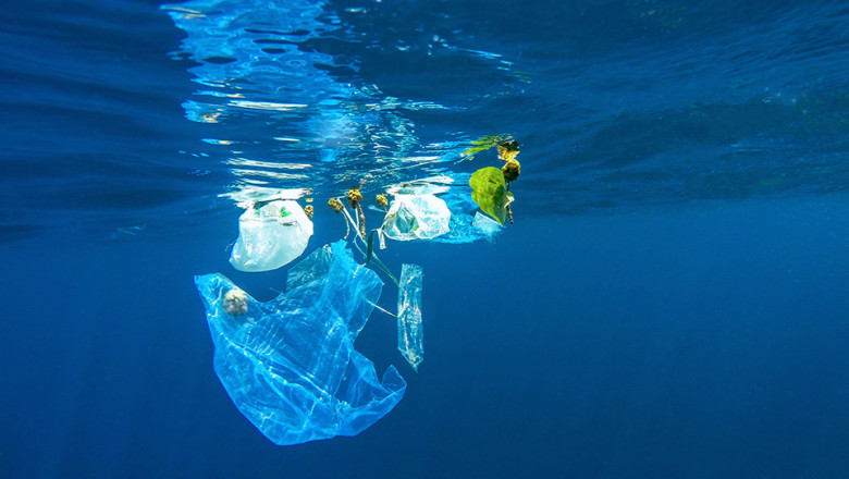 Exploring the Marine Biodegradable Material Market: The Rising Tide of Sustainability