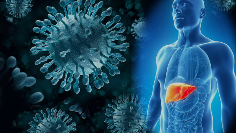 Autoimmune Hepatitis Therapeutics Market will grow at highest pace to rising prevalence of autoimmune diseases