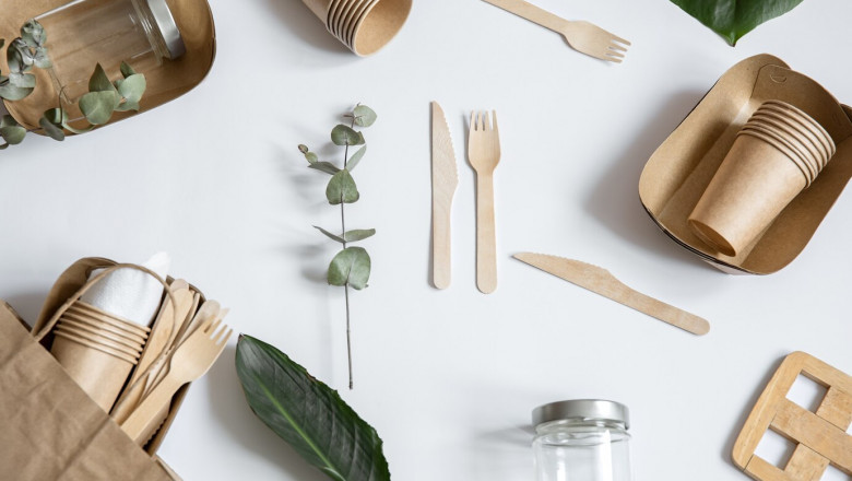Eco-Friendly Plasticizers Market: Paving the Way for a Sustainable Future
