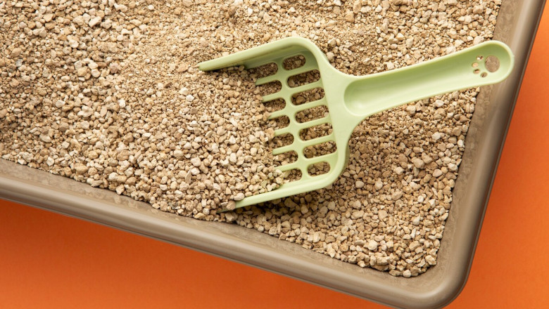 Exploring the Growing Diatomite Market: Trends, Applications, and Future Outlook