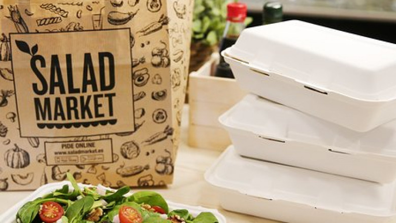 Packaged Salads Market Analysis, Size, Share, Growth, Trends, and Forecasts by 2031
