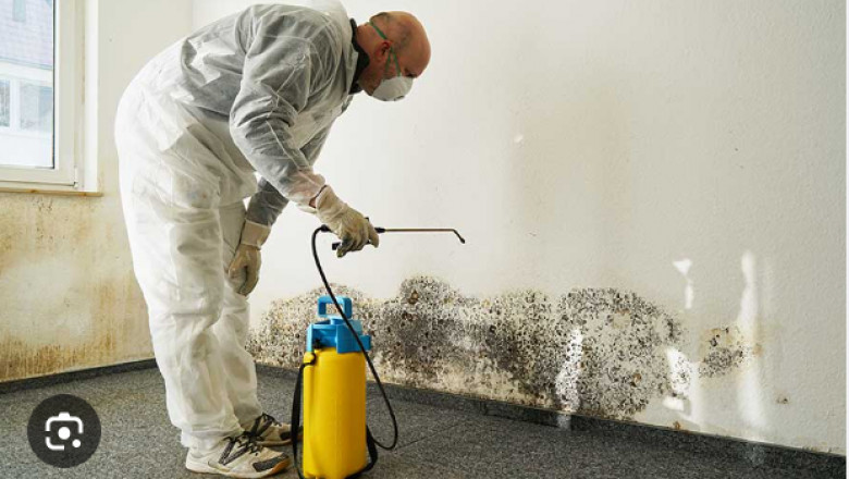 Mold Removal Calgary: Safeguarding Your Home with Envirotech Abatement & Remediation