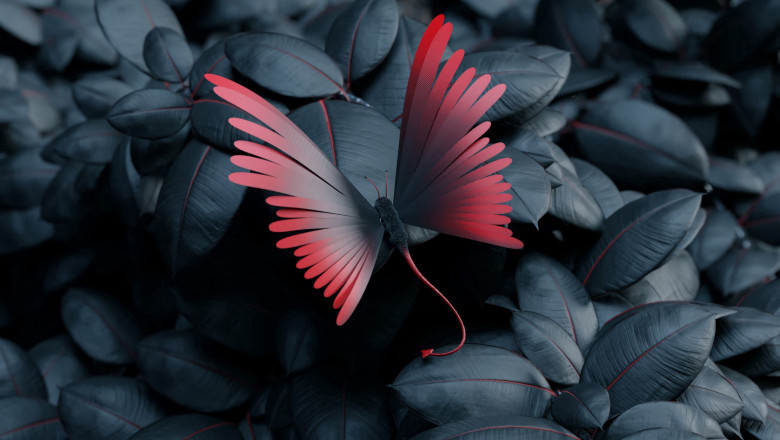 Social Media Optimization: Elevating The Brand’s On the web Reputation