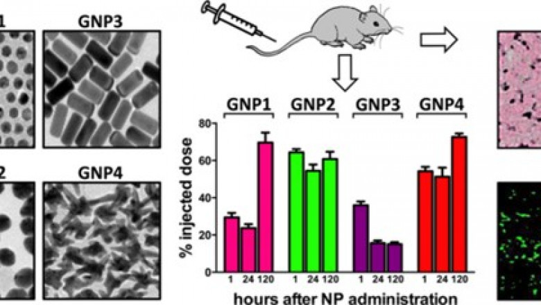 CD Bioparticles Launches Endotoxin Free Gold Nanoparticles for Biomedical Research and Bioassay Development