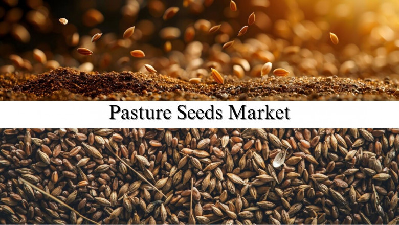 Pasture Seeds Market Size, Share, Growth Analysis and Forecast to 2032